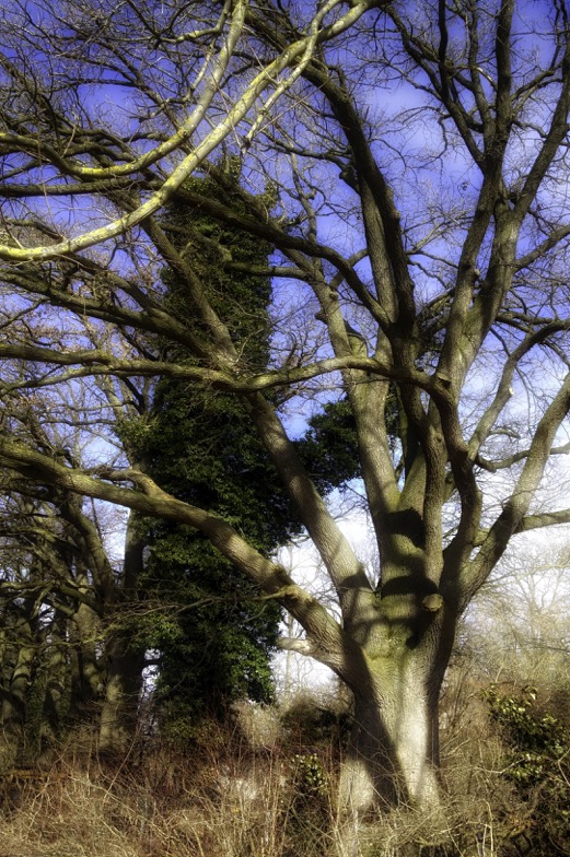 BaamamAmmersee_HDR